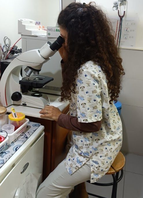 רפואה משלימה לבעלי חיים דיקור סיני לכלבים וחתולים
