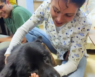 פריצת דיסק כלבים