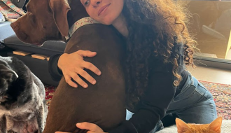 כלב חתול דיקור רפואה משלימה