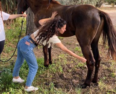 טיפול לנפיחות בעקב לסוס