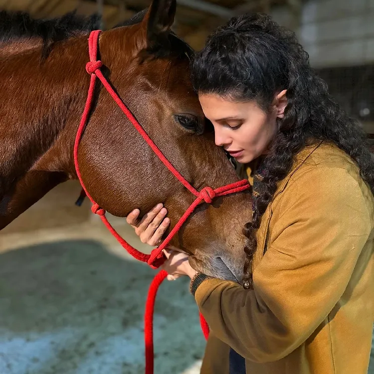 כירופרקטיקה לסוסה
