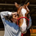 תסחיף סחוסי FCE בכלבים