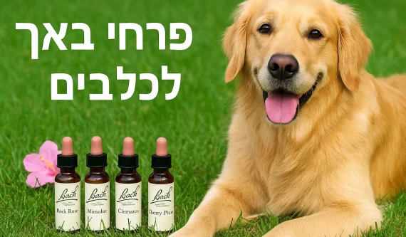 פרחי באך לכלבים רפואה משלימה לחיות